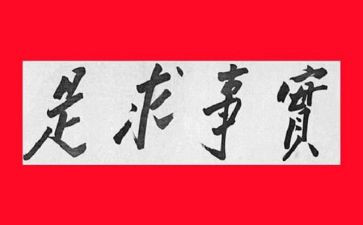 为民办实事的工作总结8篇