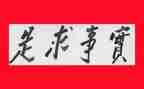 为民办实事的工作总结8篇