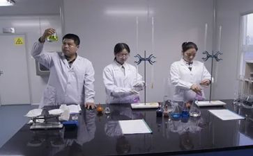 试验年度总结优质6篇