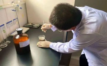 试验年度总结5篇