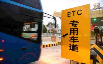 2024年收费个人总结通用5篇