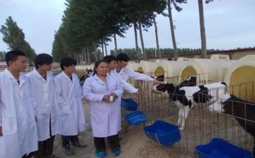兽医师述职报告推荐7篇