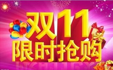 双11工作总结报告模板5篇