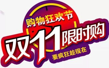 双11晚会总结报告8篇