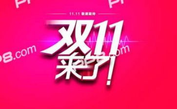 双11工作总结报告参考5篇