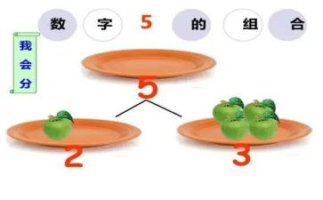 数的分解大班数学教案8篇