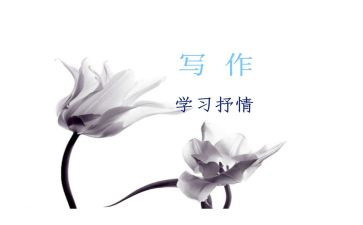 书抒情作文最新5篇
