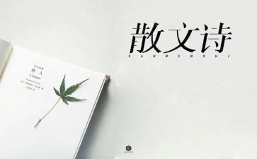 以物抒情的作文500字参考6篇