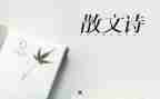 以物抒情的作文500字参考6篇