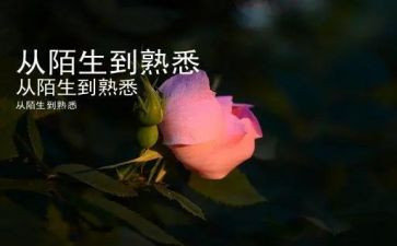 我最熟悉的人100的好作文精选5篇