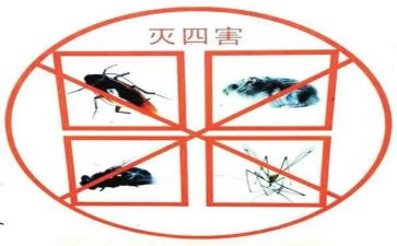 社区四害工作计划6篇