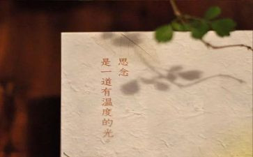 思念者作文推荐8篇