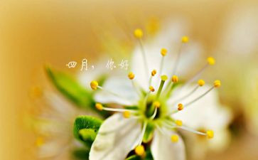 销售四月工作总结5篇