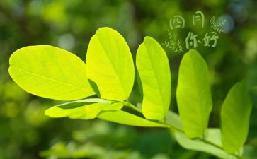 幼儿四月总结优质8篇