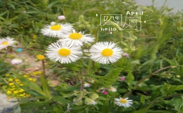 生活部四月总结7篇