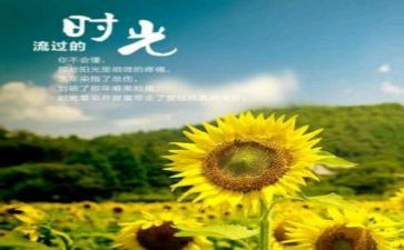 陪伴让岁月多一份温暖作文8篇