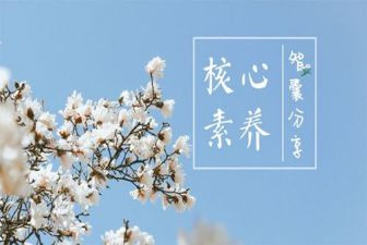 教师素养培训心得体会精选8篇