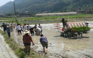 特岗教师总结通用6篇