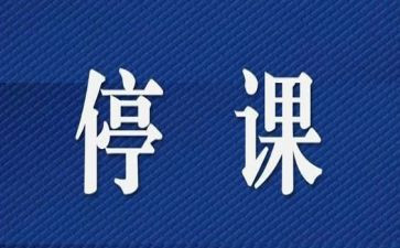 停课不停学教学总结参考5篇