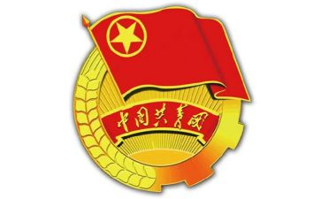 2024团支部工作总结优秀5篇