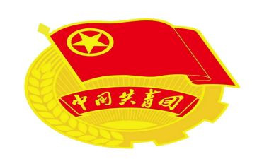 团支书的竞选演讲稿范文5篇