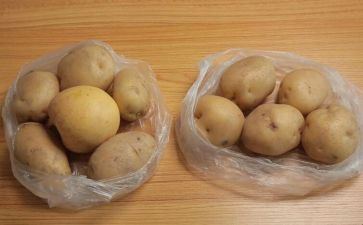 种土豆作文600字优秀6篇