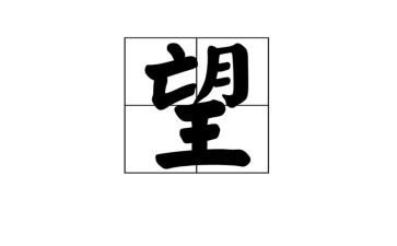 作文愿望300字参考8篇