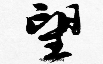 仰望的人演讲稿8篇