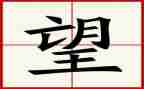 作文我的2024年愿望300字优秀8篇