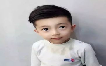 小王子心得体会5篇