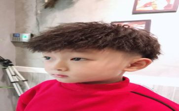 小王子心得体会500字8篇