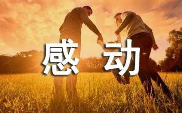 爱让我感动作文800字7篇