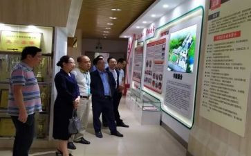 教师语文培训心得体会参考6篇
