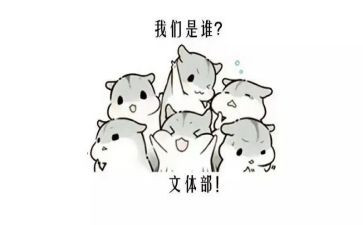 学生会文体部工作计划5篇