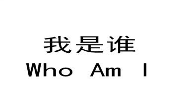 我是谁工作总结6篇
