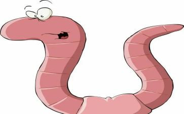 幼儿园蚯蚓教案6篇