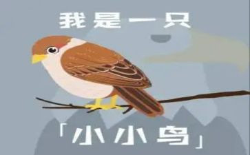 我小鸟作文通用8篇
