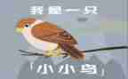 我小鸟作文通用8篇