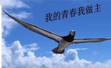 我的作文我做主的作文5篇
