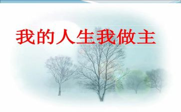 我的__我做主的作文模板6篇