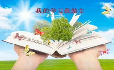 我暑假我做主作文优质7篇