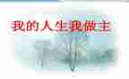 我的__我做主的作文模板6篇
