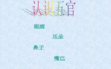 写五官的作文精选7篇