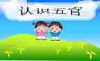 写五官的作文参考8篇