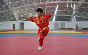 武术操活动总结6篇
