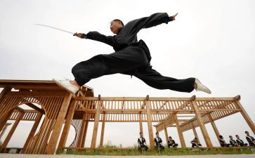 学武术操的心得体会5篇