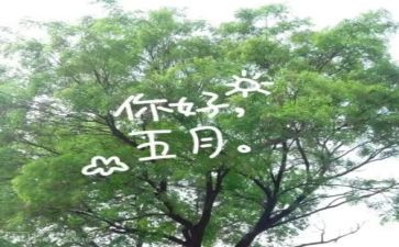 五月作文400字5篇