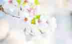 五月一日作文5篇