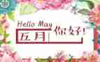 小学五月工作总结8篇