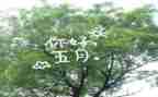 五月作文400字5篇